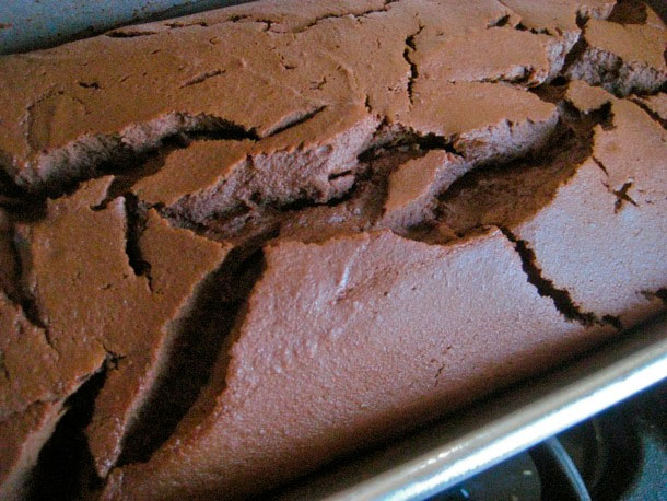 巧克力蛋糕的巧克力蛋糕